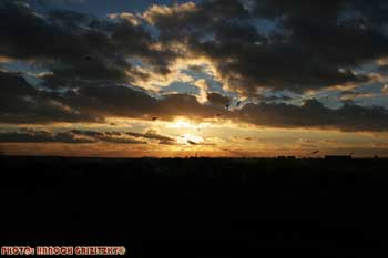 IMG_ (10986)